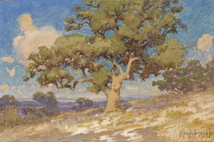 世界级赛事,休斯敦展现城市魅力新高度!